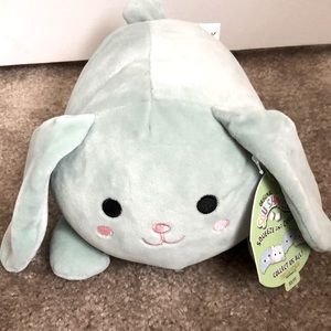 Isabella the rabbit Squishmallow cuddler